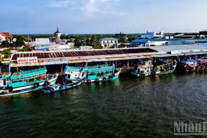 Với chính sách mới vừa ban hành, ngư dân Cà Mau được hỗ trợ 100% chi phí cước thuê bao hằng tháng trên thiết bị VMS đến hết năm 2028.