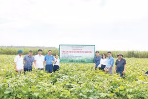 Nguyên tắc quan trọng nhất là phải tìm được đầu ra và ký kết bao tiêu sản phẩm trước khi tổ chức sản xuất. 