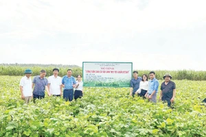 Nguyên tắc quan trọng nhất là phải tìm được đầu ra và ký kết bao tiêu sản phẩm trước khi tổ chức sản xuất. 