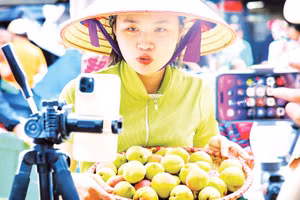 Một phiên livestream bán nông sản ở Tây Bắc. Ảnh: NVCC 