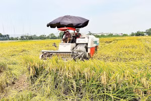 Cơ giới hóa được ứng dụng vào hầu hết các khâu trong sản xuất nông nghiệp. 