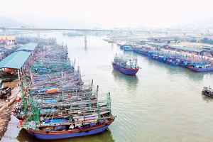Cảng cá Lạch Quèn, một trong những cảng cá lớn nhất tỉnh Nghệ An. 