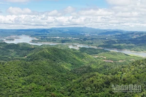 Thực tiễn tại Lâm Đồng cho thấy, chính sách chi trả dịch vụ môi trường rừng là giải pháp kinh tế đúng hướng, góp phần hài hòa lợi ích giữa Nhà nước, doanh nghiệp và người dân trong bảo vệ và phát triển rừng.