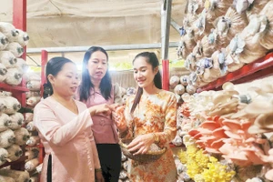 Cán bộ Hội Liên hiệp Phụ nữ tỉnh Vĩnh Long đến thăm mô hình trồng nấm của chị Ánh Xuân (ngoài cùng bên phải).