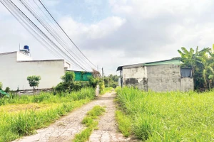 Khu vực đất nông nghiệp được phân lô thành khu dân cư tự phát tại phường Phú Tân (tỉnh Vĩnh Long).