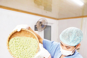 Nông nghiệp công nghệ cao “mở đường” tăng trưởng