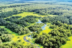 Mênh mang rừng tràm Trà Sư.