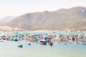 Đường bờ biển dài 192 km là nền tảng để Lâm Đồng mở hướng phát triển thủy sản. Ảnh: Khiếu Minh