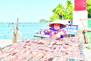 Người dân ở đặc khu Kiên Hải phơi khô cá biển.