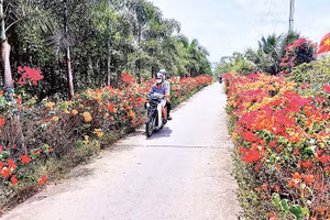 Mô hình "Chi bộ 4 tốt" lan tỏa trong mọi lĩnh vực, tạo nên sức sống mới ở vùng quê Trần Văn Thời.