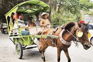 Du khách trải nghiệm trên xe ngựa ở cù lao Thới Sơn.