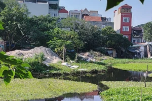 Ao Hoàng Giáp trong ngõ 99 Định Công Hạ (phường Định Công, Hà Nội) bị lấn chiếm, dựng nhà tạm và tập kết vật liệu xây dựng. (Ảnh VĂN HỌC)