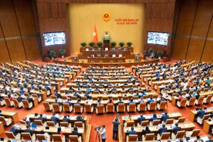 Toàn cảnh Kỳ họp thứ 10, Quốc hội khoá XV.