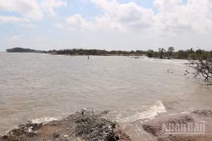 Bờ biển hai ấp Đông Thành và Hồ Thùng, xã Đông Hải, tỉnh Vĩnh Long bị sạt lở nghiêm trọng.