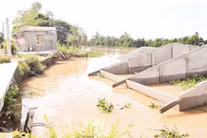 Nhiều ngôi nhà ở Đồng Tháp bị đổ sụp xuống sông do sạt lở. 