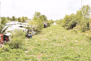 Tuyến kênh cấp 2, ấp Tư, xã Mỹ Thuận dày đặc lục bình, rác thải sinh hoạt.