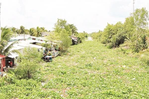 Tuyến kênh cấp 2, ấp Tư, xã Mỹ Thuận dày đặc lục bình, rác thải sinh hoạt.