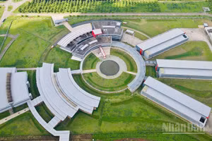 Một nhà máy tại Khu công nghiệp Dầu Giây được thiết kế với không gian xanh.