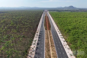 Đường Vành đai 1 Long Khánh xuyên qua rừng cao-su.