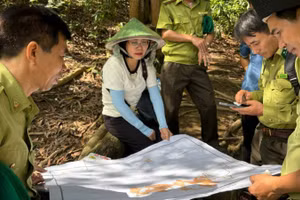 Phó Chủ tịch Ủy ban nhân dân tỉnh Đồng Nai Nguyễn Thị Hoàng (người đội nón) kiểm tra công tác phòng, chống cháy và bảo vệ rừng.