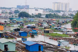 Hàng trăm hộ nuôi cá bè trên sông Đồng Nai ngay trung tâm thành phố đang gây ra nhiều hệ lụy về môi trường, ảnh hưởng đến mỹ quan đô thị.