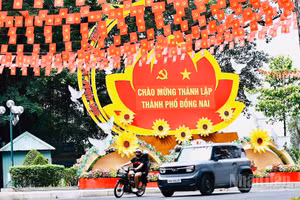 Quang cảnh thành phố Đồng Nai. (Ảnh: THIÊN VƯƠNG)