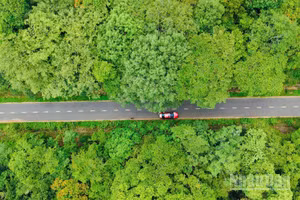 Đường 13km trên cao xuyên rừng Mã Đà thuộc Dự án đầu tư xây dựng tuyến đường từ cầu Mã Đà đến đường Vành đai 4-Thành phố Hồ Chí Minh.