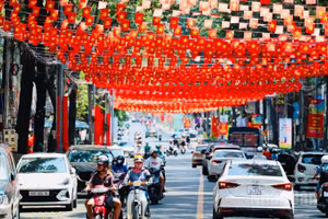 [Ảnh] Rực rỡ cờ hoa ở Đồng Nai chào mừng các ngày lễ lớn