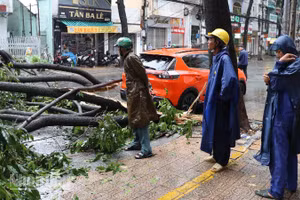 Một trận mưa lớn kèm lốc gây đổ cây xanh năm 2025 ở phường Trấn Biên, thành phố Đồng Nai.