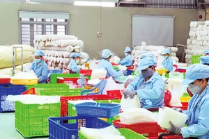 Các cơ sở sản xuất bánh tráng ở Tây Ninh hối hả sản xuất để cung ứng thị trường Tết.