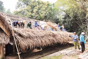 Ngôi nhà cụ Phó bảng Nguyễn Sinh Sắc được phục dựng trên nền đất cũ, hằng năm được duy tu, bảo dưỡng (Ảnh Ban Quản lý Khu Di tích quốc gia Kim Liên cung cấp).
