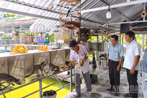 Trong giai đoạn mới, Cà Mau tập trung nguồn lực để hỗ trợ theo cách "trao cần câu cơm" giúp giảm nghèo bền vững.