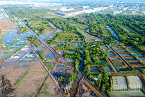 Vùng sản xuất hệ ngọt của người dân phường Tân Thành (vùng xanh bên phải) bị ảnh hưởng bởi quá trình triển khai nâng cấp, mở rộng Cảng hàng không Cà Mau. 