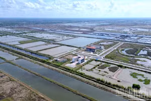 Một góc Khu nông nghiệp ứng dụng công nghệ cao phát triển tôm Bạc Liêu nằm ở phường Hiệp Thành, tỉnh Cà Mau.