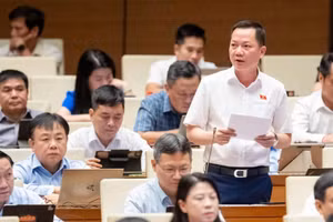 Đại biểu Quốc hội: Phân quyền triệt để phải đi đôi với kiểm soát quyền lực 