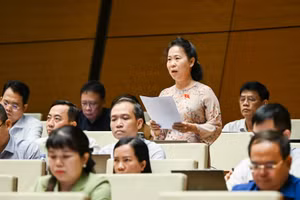 Sửa Luật Hải quan: Đề xuất áp dụng cơ chế "luồng xanh" đối với nông sản, thủy sản tươi sống