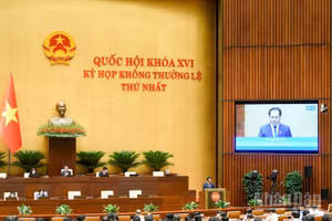 Quang cảnh phiên thảo luận ở hội trường ngày 12/8. (Ảnh: DUY LINH)
