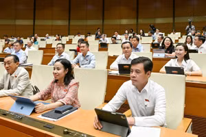 Các đại biểu dự phiên họp sáng 8/8. Ảnh: THỦY NGUYÊN