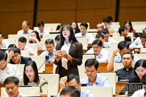 Đại biểu Quốc hội đề xuất siết giám sát tài sản mã hóa để kiểm soát rủi ro rửa tiền
