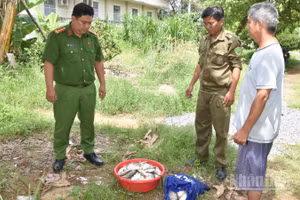 Công an xã Tân Phước 3 tạm giữ số cá mà đối tượng Lê Tấn Duy dùng xung điện đánh bắt trái phép.