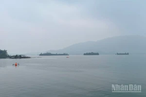 Dự báo khu vực Bắc Bộ sáng sớm có sương mù và sương mù nhẹ. (Ảnh minh họa: Đ.T)