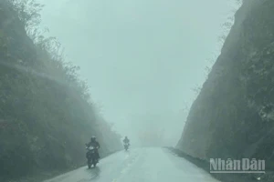 Dự báo khu vực Bắc Bộ sáng có sương mù. Sáng sớm và đêm trời rét. (Ảnh minh họa: Đ.T)