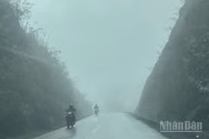 Dự báo khu vực Bắc Bộ sáng có sương mù. Sáng sớm và đêm trời rét. (Ảnh minh họa: Đ.T)