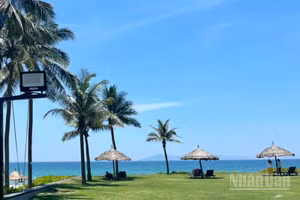 Từ Nghệ An đến thành phố Đà Nẵng và phía đông các tỉnh từ Quảng Ngãi đến Đắk Lắk có nắng nóng gay gắt, có nơi đặc biệt gay gắt. (Ảnh minh họa: Đ.T)