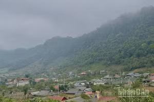 Dự báo khu vực vùng núi và trung du Bắc Bộ có mưa vừa, mưa to và dông. (Ảnh minh họa: Đ.T)
