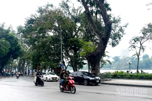 Dự báo khu vực Hà Nội trời rét đậm. (Ảnh minh họa: Đ.T)