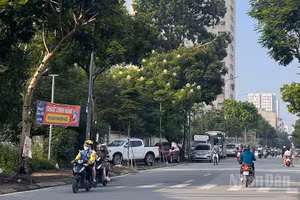 Dự báo khu vực Hà Nội ngày nắng nóng. (Ảnh minh họa: Đ.T)