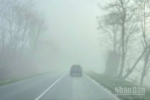 Không khí lạnh tăng cường ở Bắc Bộ, vùng núi cao có nơi dưới 4 độ C. (Ảnh minh họa: Đ.T)