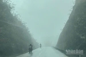 Bắc Bộ sáng sớm có nơi có sương mù, trưa chiều trời nắng. (Ảnh minh họa: Đ.T)