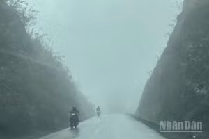 Bắc Bộ sáng sớm có nơi có sương mù, trưa chiều trời nắng. (Ảnh minh họa: Đ.T)